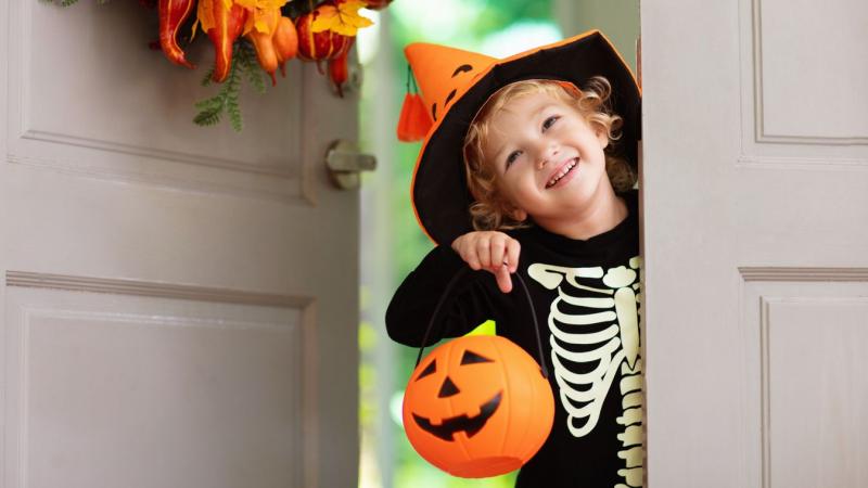 Halloweenkor igazi felfordulás vár a környékre, ahol a rémisztő díszletek és a titokzatos hangulat szinte életre kelti az utcákat. A szomszédok kreatív jelmezekbe bújnak, miközben a töklámpások fényében sötét titkok és varázslatos mesék elevenednek meg. A