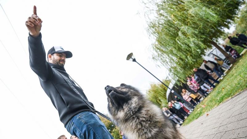 A gyerekek izgatottan zsűrizték a kutyák szépségversenyének résztvevőit (galéria)