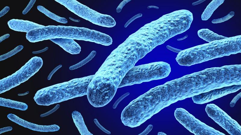 Ausztriában leprával diagnosztizáltak egy pácienst.