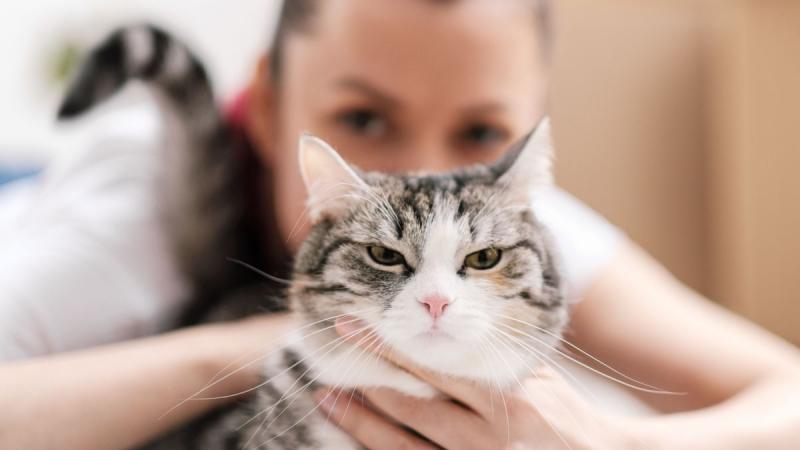 Miért érzik a férfiak félelmet a macskás nőktől? Spoiler: a szőrhullás nem az egyetlen ok! - Life