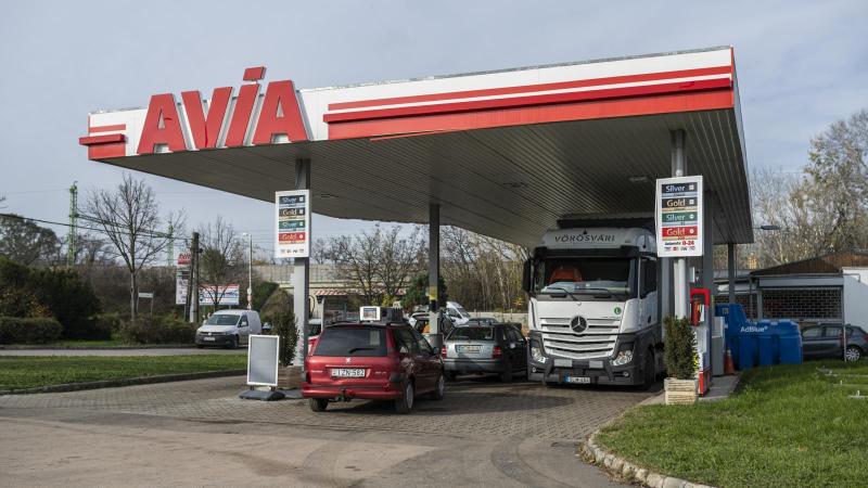 A kis kutak újból talpra állnak, és 2021 óta most először sikerült átlépniük a 30%-os piaci részesedést.