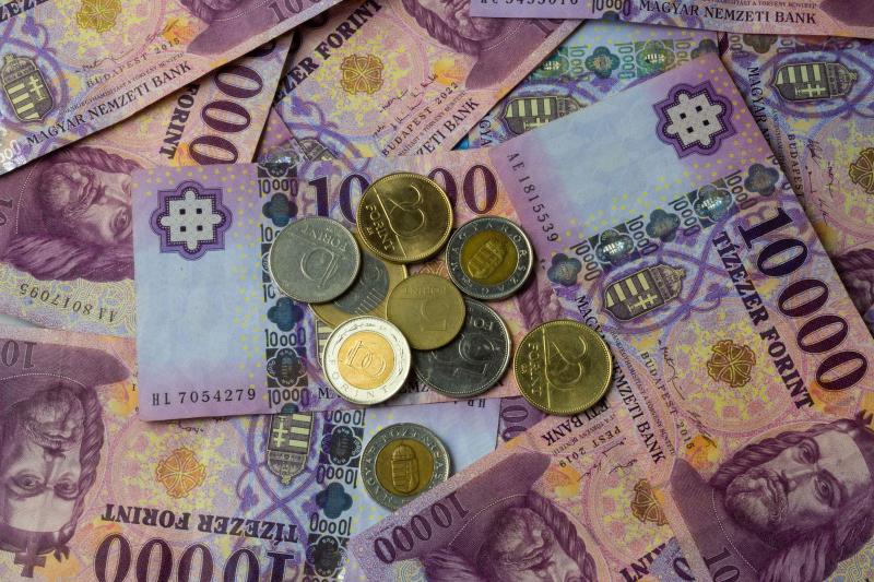Itt van a magyar pénz, amely annak a politikai vezetőnek az arcképét viseli, aki manapság nem éppen a legkedveltebb alakja a közéletnek.