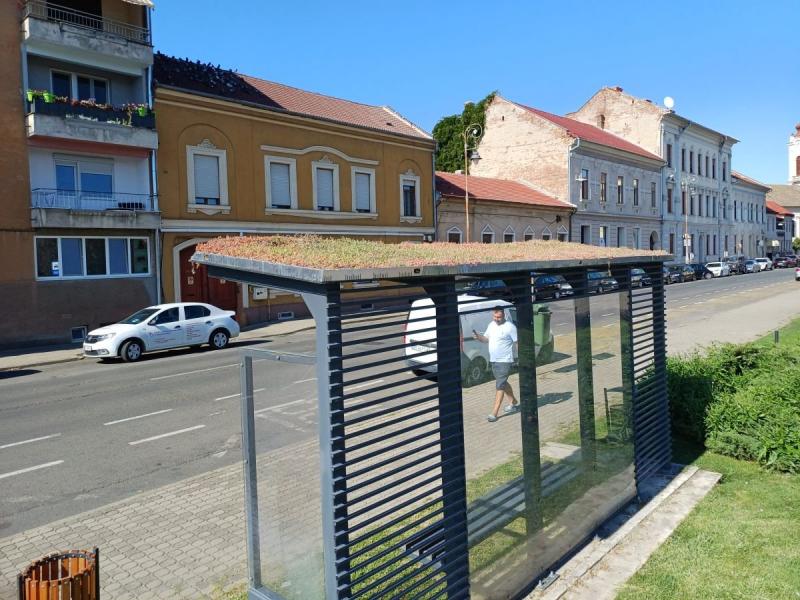 Kiszáradt a zöldtetős buszmegálló – szabotázs gyanúja merült fel | Krónika

A zöldtetős buszmegálló állapota aggasztó, hiszen a zöld növényzet hirtelen elhalványult, ami szabotázs lehetőségére utal. A hatóságok nyomozást indítottak az ügy tisztázására, ho