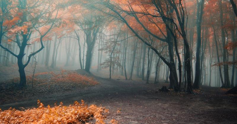 Nemrég az éjszakák olyan dermesztően hűvösek voltak, mint ahogy most a nappalok is érződnek.