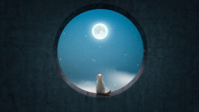 Engedd el a kapkodást! A Bika Hold most két napon át stabilitást és harmóniát csepegtet az életedbe.