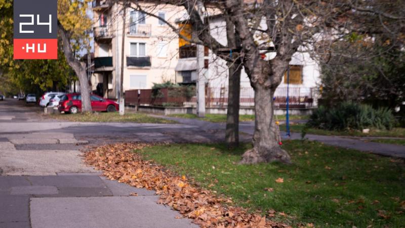 Szerdán a napfény és a záporok váltakozása jellemzi az időjárást. | 24.hu