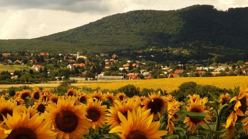 Bled mellett, a festői szépségű magyar falvak is megérdemlik a figyelmet, hiszen gazdag kultúrájuk és varázslatos tájaik sokszínű élményeket kínálnak.