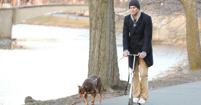 Újabb mérföldkő az örök élet keresésében: a futballsztár klónoztatta elhunyt kedvencét.