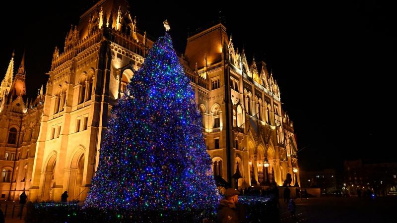 Az ország karácsonyfája idén egy különleges nyírségi fenyőfa lesz, amely a hazai táj szépségét és a helyi hagyományokat egyaránt megjeleníti.